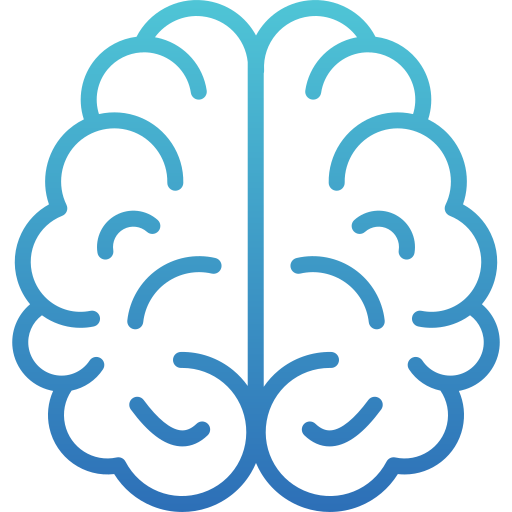 brain